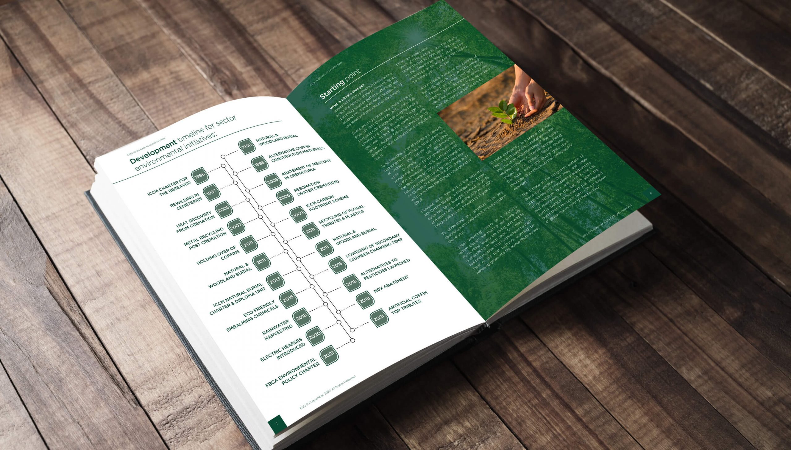 Environmental Stewardship Group brochure design